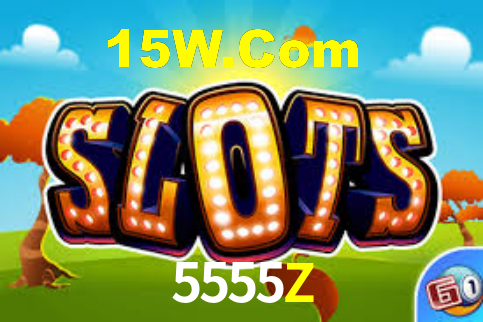 5555Z App Interface